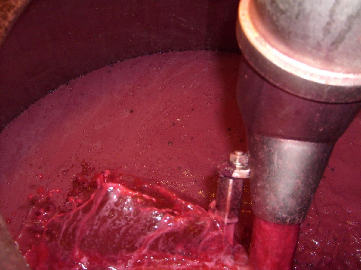 La Giribaldina Winery & Farmhouse Calamandrana Luaran gambar