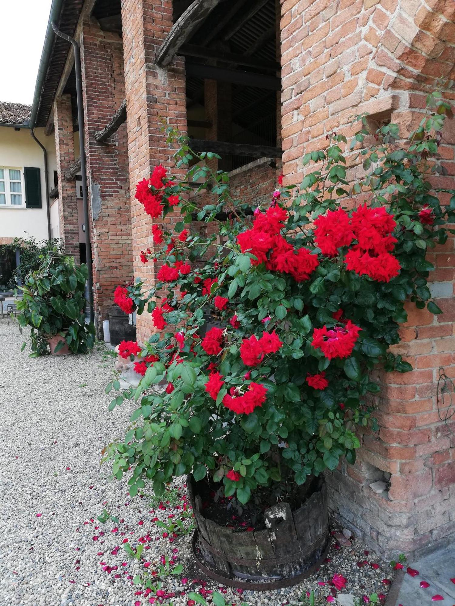 La Giribaldina Winery & Farmhouse Calamandrana Luaran gambar