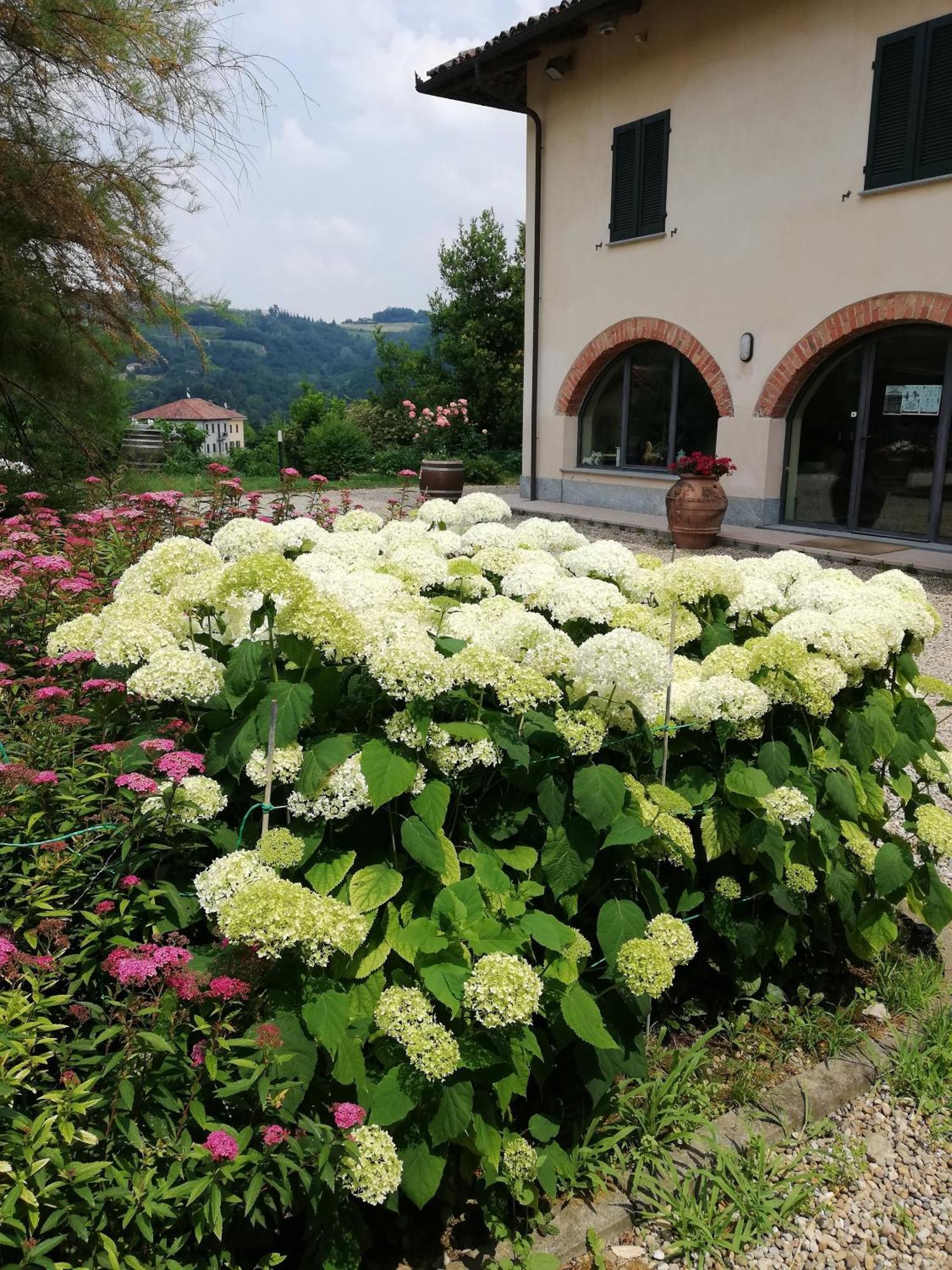 La Giribaldina Winery & Farmhouse Calamandrana Luaran gambar